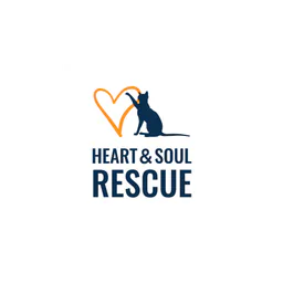 logotipo Heart & Soul