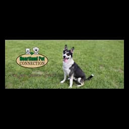 Imagen del sitio de Heartland Pet Connection con su marca y un perro