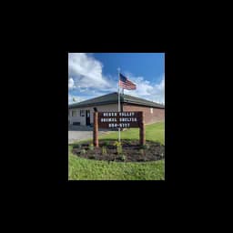 Shelter photograph published by Heber Valley Animal Services