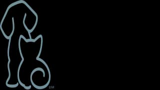 Imagen oficial del perfil de Humane Society of Broward County