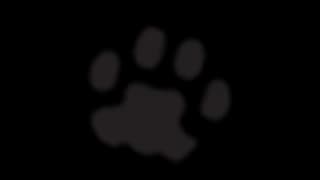 Official profile image of Humane Society of Chittenden County