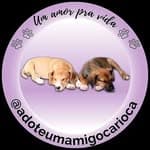 Amigo Carioca no diretório AnimalProtech