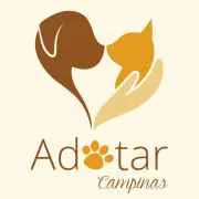 Adotar no diretório AnimalProtech