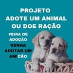 Adote um Amicão no diretório AnimalProtech