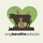 Bendita Adoção no diretório AnimalProtech