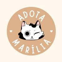 Adota Marília no diretório AnimalProtech