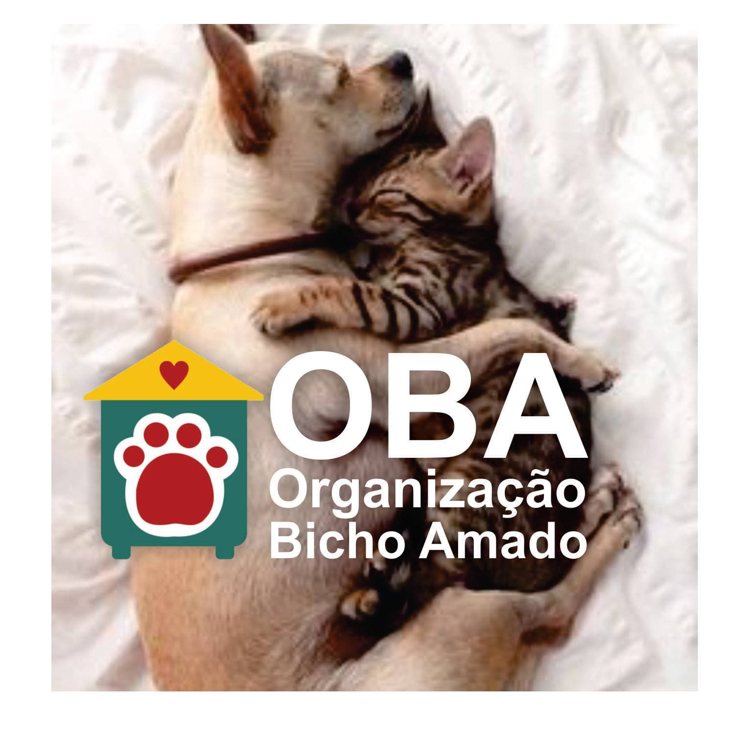 OBA - Organização Bicho Amado no diretório AnimalProtech