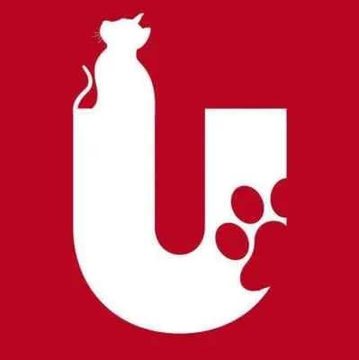 Ação Movimento Animal no diretório AnimalProtech