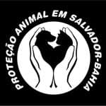 Proteção Animal Salvador no diretório AnimalProtech