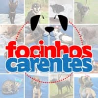 Focinhos carentes no diretório AnimalProtech