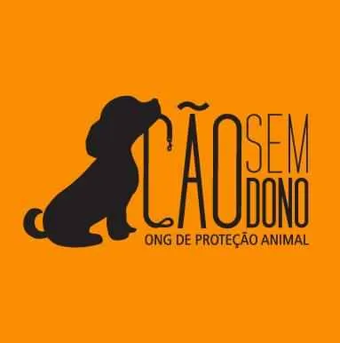 Cão Sem Dono no diretório AnimalProtech