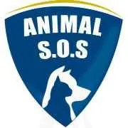 Animal S.O.S. no diretório AnimalProtech