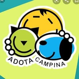 Adota Campina no diretório AnimalProtech