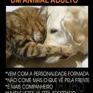 Socorro Animal - Grande BH no diretório AnimalProtech