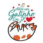 Adote um Gatinho JP no diretório AnimalProtech