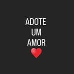 Adote um Amor no diretório AnimalProtech
