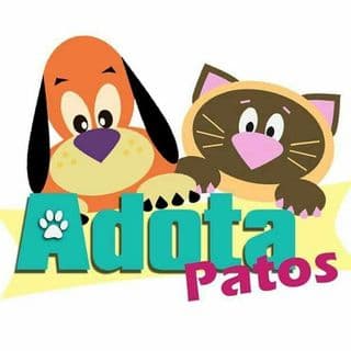 Adota Patos no diretório AnimalProtech