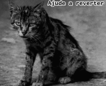 Anjos protetores do Brasil no diretório AnimalProtech