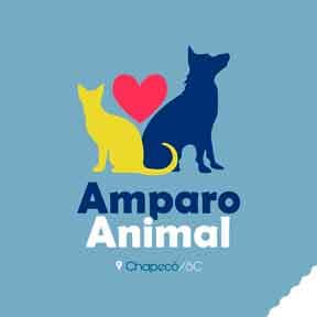 Amparo Animal no diretório AnimalProtech