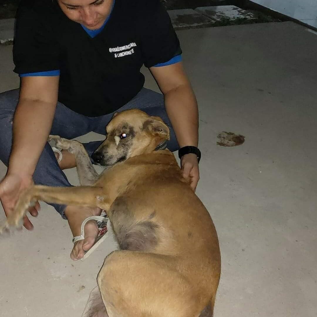 Abrigo Patinhas Santa Rita no diretório AnimalProtech