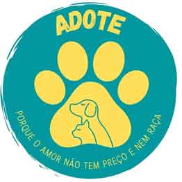 Adote Pinda no diretório AnimalProtech