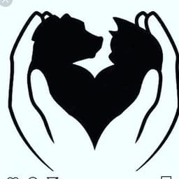 Somos Todos por Eles no diretório AnimalProtech