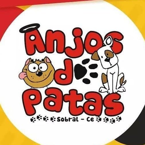Anjos de Patas no diretório AnimalProtech