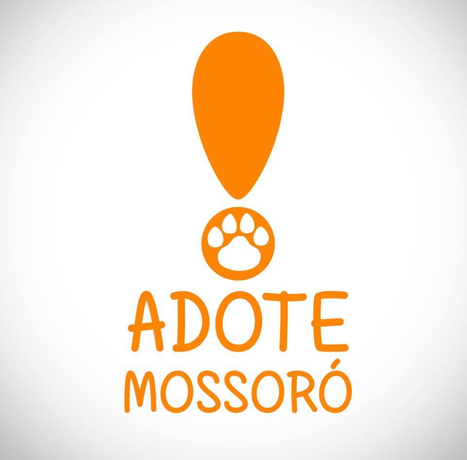 Adote Mossoró no diretório AnimalProtech