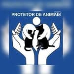 Protetores de animais no diretório AnimalProtech