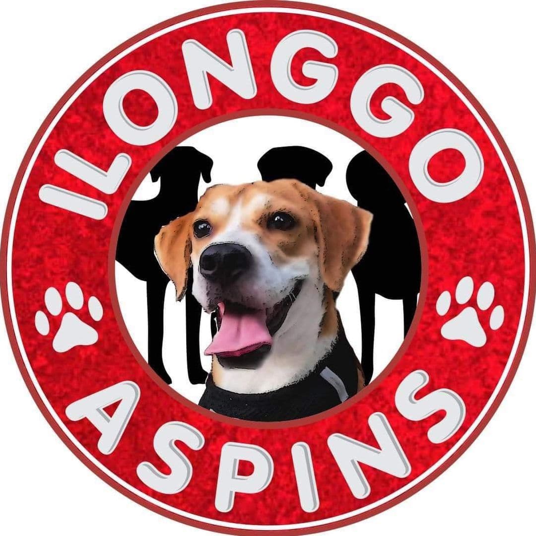 ILONGGO ASPINS dans l’annuaire AnimalProtech