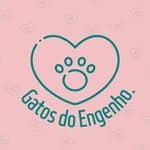 Gatos do Engenho no diretório AnimalProtech