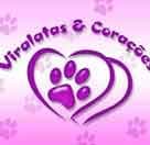 Vira-Latas e Corações no diretório AnimalProtech