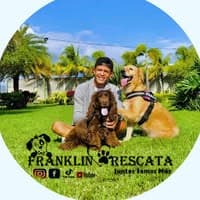 Franklin Rescata no diretório AnimalProtech