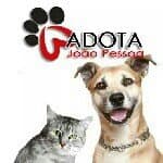Adota João Pessoa no diretório AnimalProtech