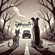 4Patas SM no diretório AnimalProtech