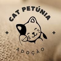 Cat Petunia no diretório AnimalProtech