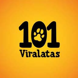 101 Viralatas no diretório AnimalProtech
