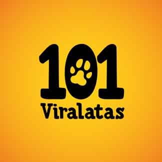 101 Viralatas no diretório AnimalProtech