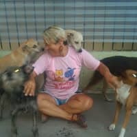 APAIG no diretório AnimalProtech
