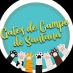 Gatos do Campo de Santana no diretório AnimalProtech