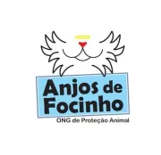 Anjos de Focinho no diretório AnimalProtech
