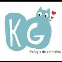 Karina Gibaja no diretório AnimalProtech