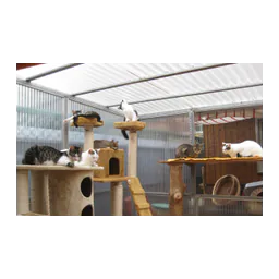 Interior do gatil mostrado no site oficial do Tierschutzverein Bad Nauheim
