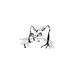 Katzenhilfe Stuttgart e.V. logo