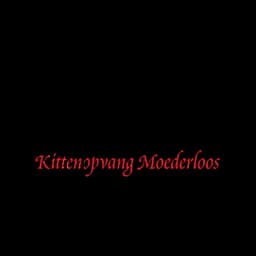 logotipo Kittenopvang Moederloos