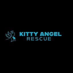 Kitty Angel Rescue logo from its official website