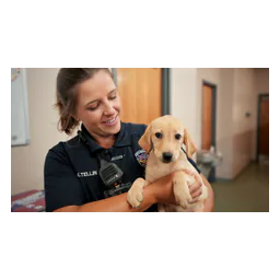 Lee's Summit animal control officer holding a puppy