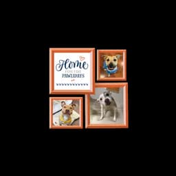 LifeLine Animal Project logo