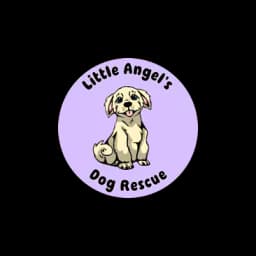logotipo Little Angels Dog Rescue