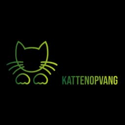 Logotipo de Little Jungle